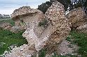 Carthage - Oued Milliane 100_6345